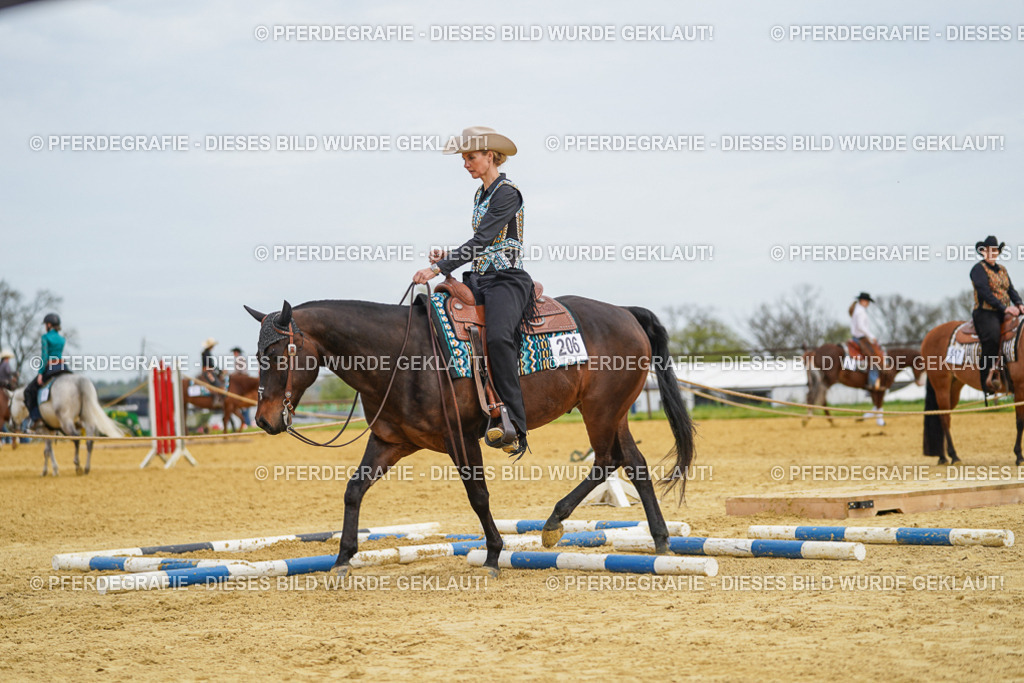 DSC03230 | Pferdegrafie