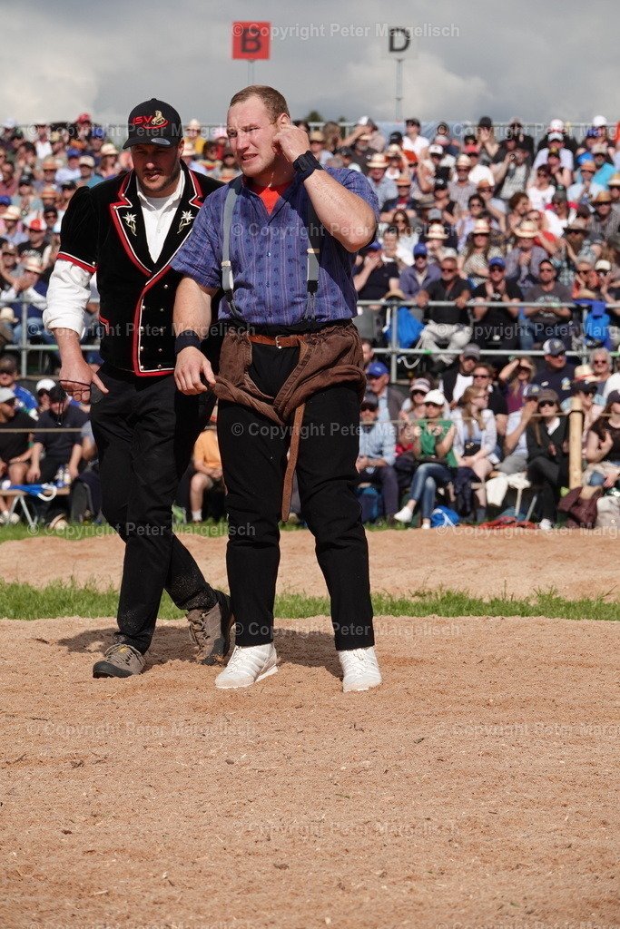 DSC01055 | Schwingen - Realisiert mit Pictrs.com