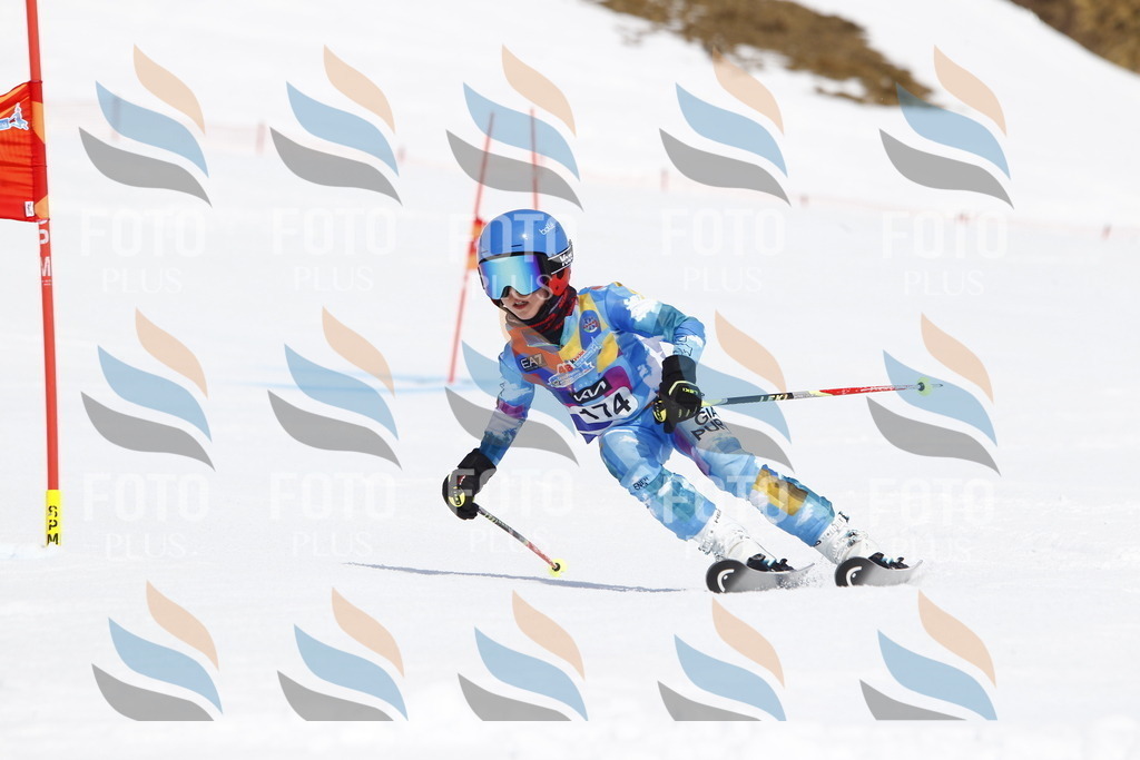 _U3G4593 | holidayphoto