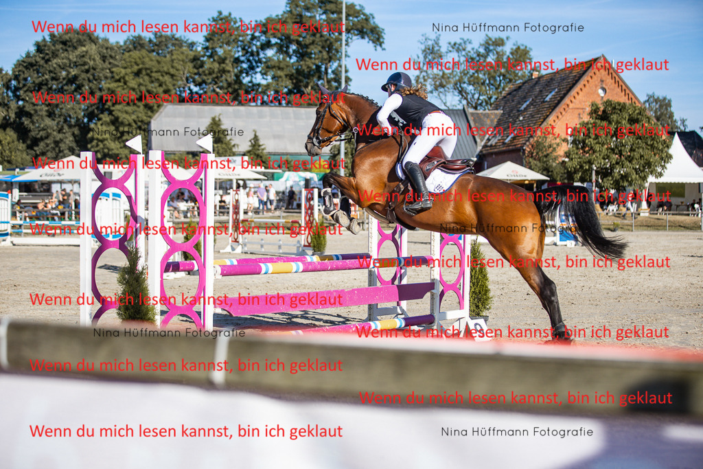 BK1A7703 | Turnierbilder Turnierfotos Nina Hüffmann Turnierfotografie Pferdefotografie Tierzeichnung Haustierzeichnung Pferdezeichnung Hundezeichnung Videograf  - Realisiert mit Pictrs.com