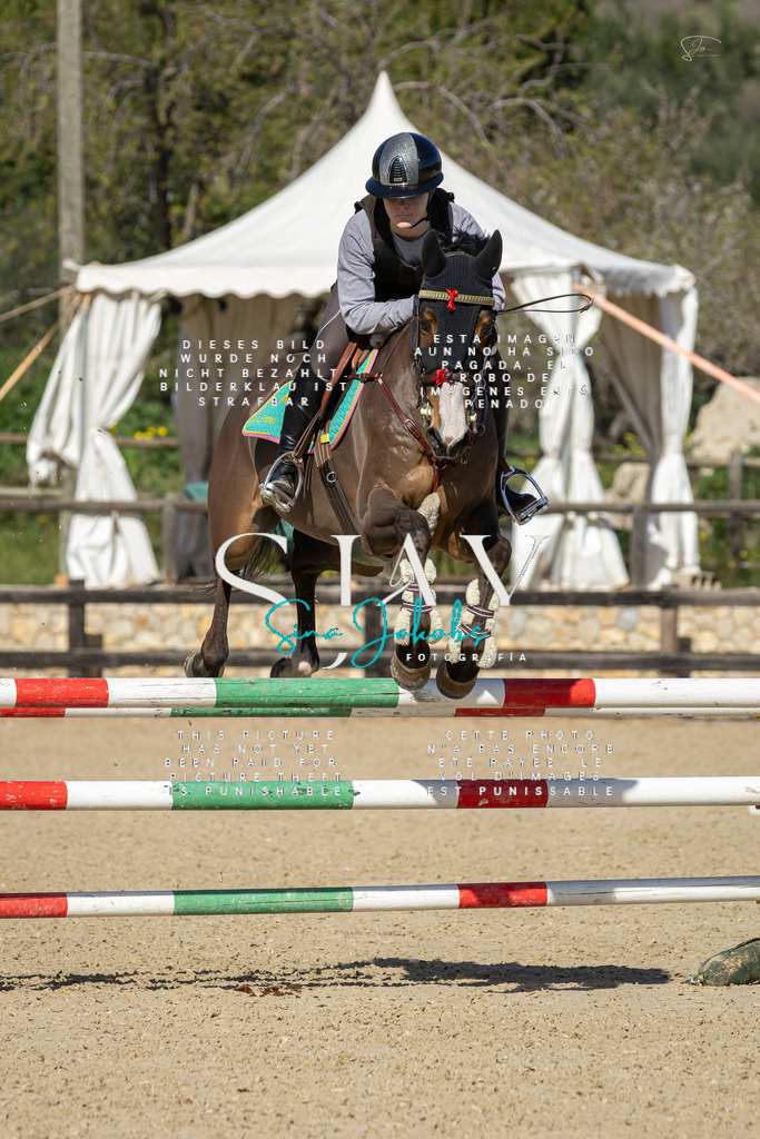 IMG_6780 | s-jay-photography - Realisiert mit Pictrs.com