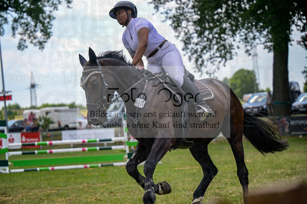 Reitturnier Voxtrup | Entdecke hochwertige Reitturnierfotos von Foto Oger. Professionell, emotional und authentisch – jetzt Lieblingsmomente im Shop bestellen. - Realisiert mit Pictrs.com