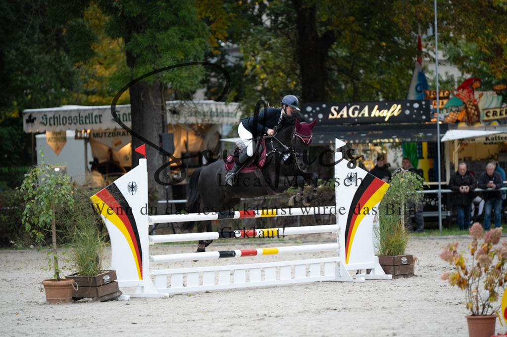 A7V08590 | Pferdefotograf