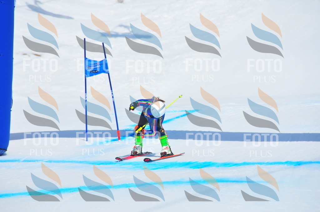 DSC_5108 | holidayphoto