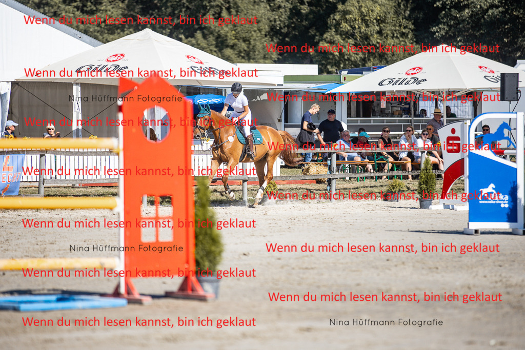 BK1A7989 | Turnierbilder Turnierfotos Nina Hüffmann Turnierfotografie Pferdefotografie Tierzeichnung Haustierzeichnung Pferdezeichnung Hundezeichnung Videograf  - Realisiert mit Pictrs.com
