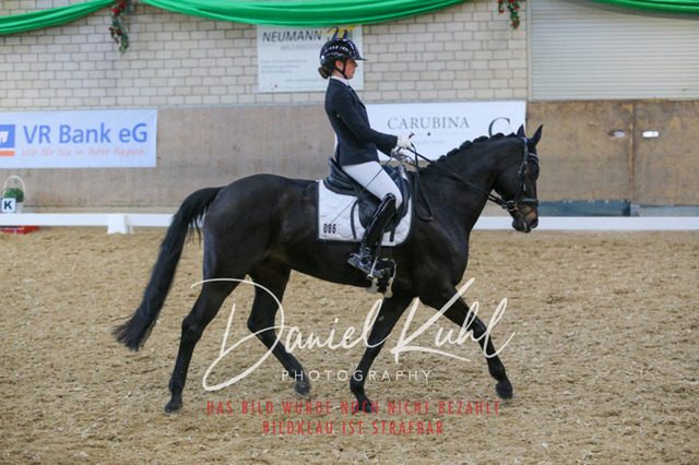 IMG_2916 | Turnierfotos kaufen im Webshop von Daniel Kuhl Photography – entdecke professionelle Reitsportfotos aus Turnieren & Events. Hochwertige Turnierbilder online bestellen & sichern. Jetzt Fotos von Reitsportturnieren kaufen!