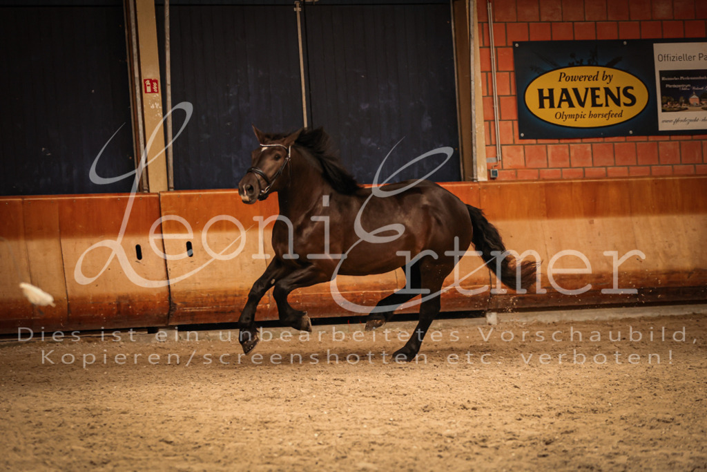 SaFL00392 | Leoni Ertmer Photography - Realisiert mit Pictrs.com