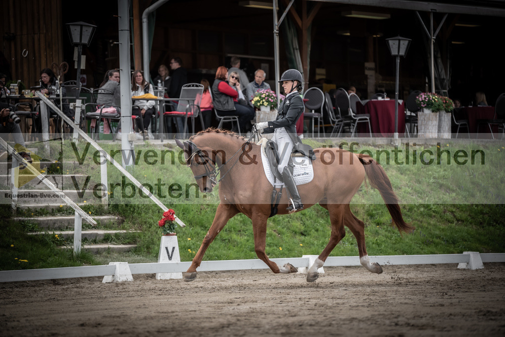 DSC_3052 | equestrian-live-com