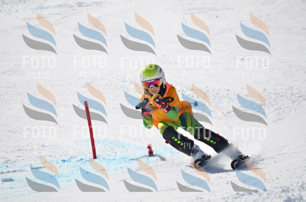 C8654 | holidayphoto