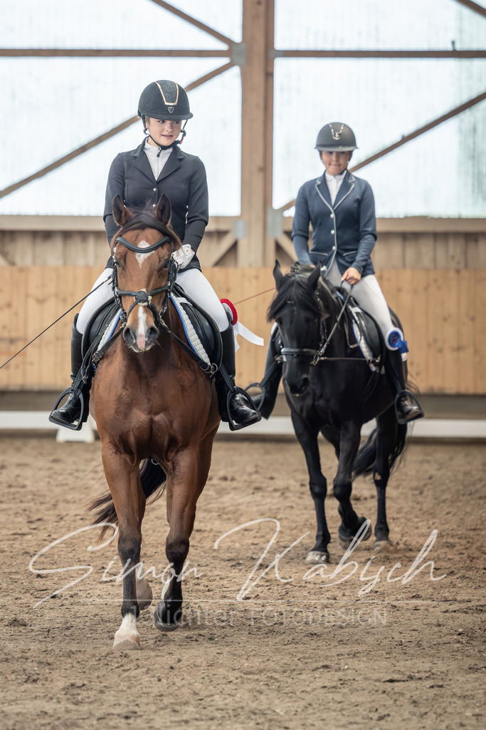 20251011-_3LI8134 | Tierfotografie Pferde, Hunde, Katzen, Haustiere.
Turnierfotografie Reitturniere, Reiten, Springreiten, Dressur in Hanau, dem Main-Kinzig-Kreis und dem Rhein-Main- Gebiet um Frankfurt