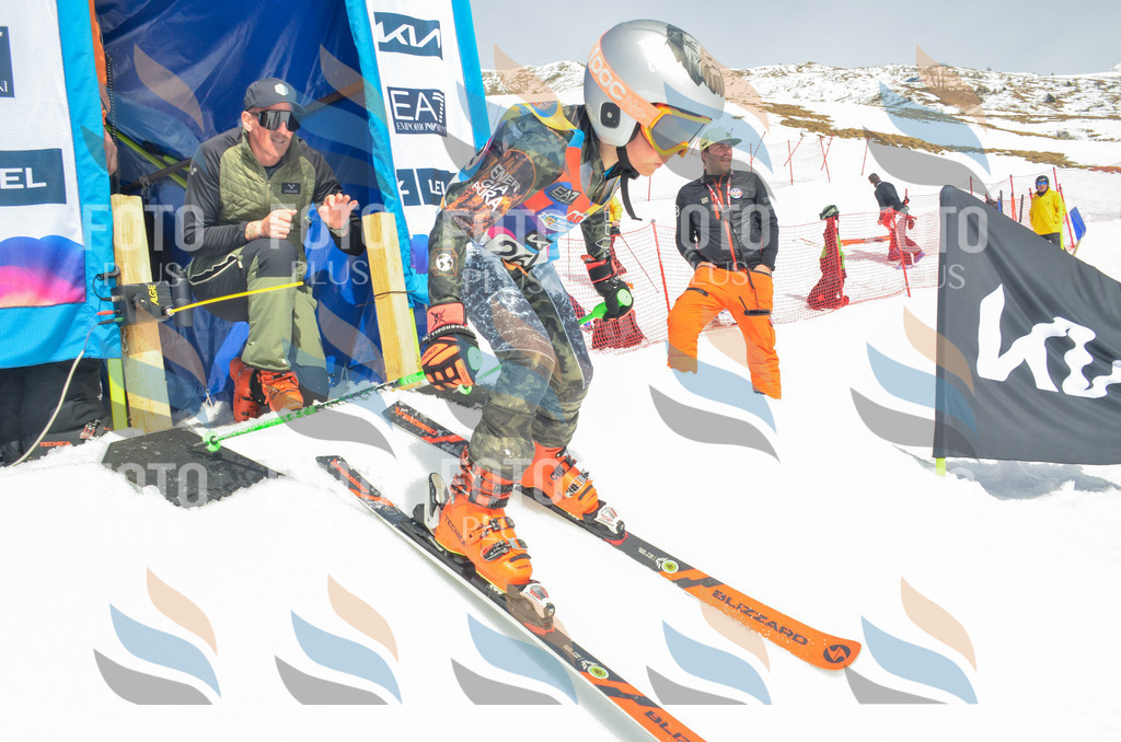 _ELE7680 | holidayphoto