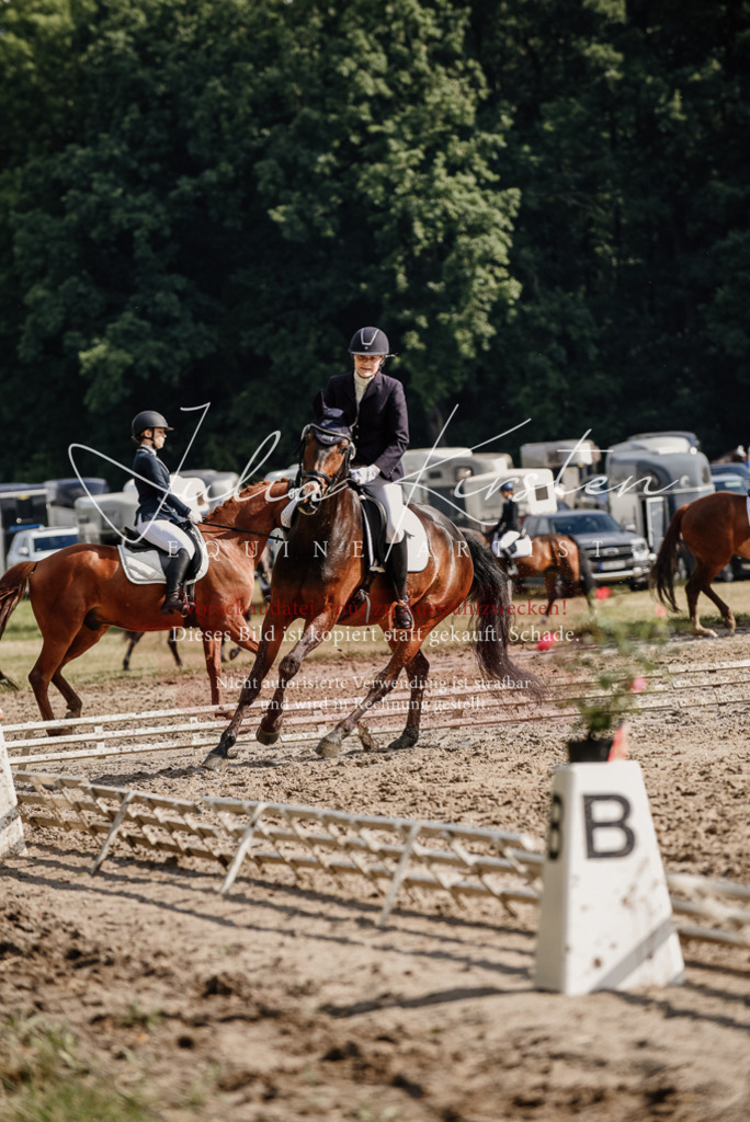 DSC_8798 | Pferde- und Turnierfotografie in Westsachsen. Pferdeportraits, Auftragszeichnungen und intuitive Kunst.