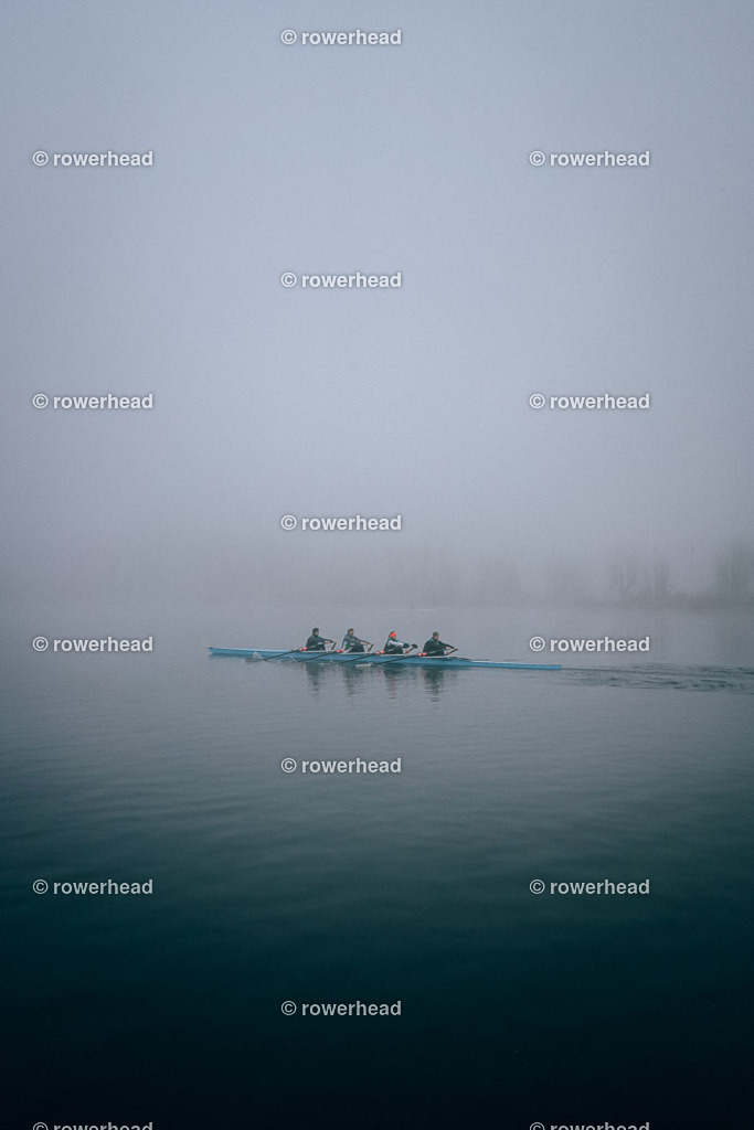 20250119_rowerhead__S0013_DSC02250 | rowerhead - Realisiert mit Pictrs.com