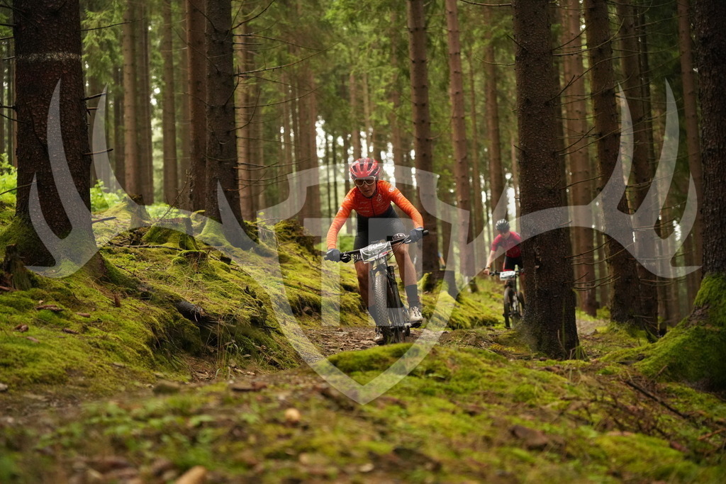 DSC07695 | Fotogalerie der Treibjagd im Dunkelwald - Dein MTB Etappenrennen im Erzgebirge - Realisiert mit Pictrs.com