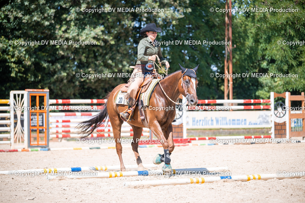 ZS1_1477 | dv-media-shop - Realisiert mit Pictrs.com