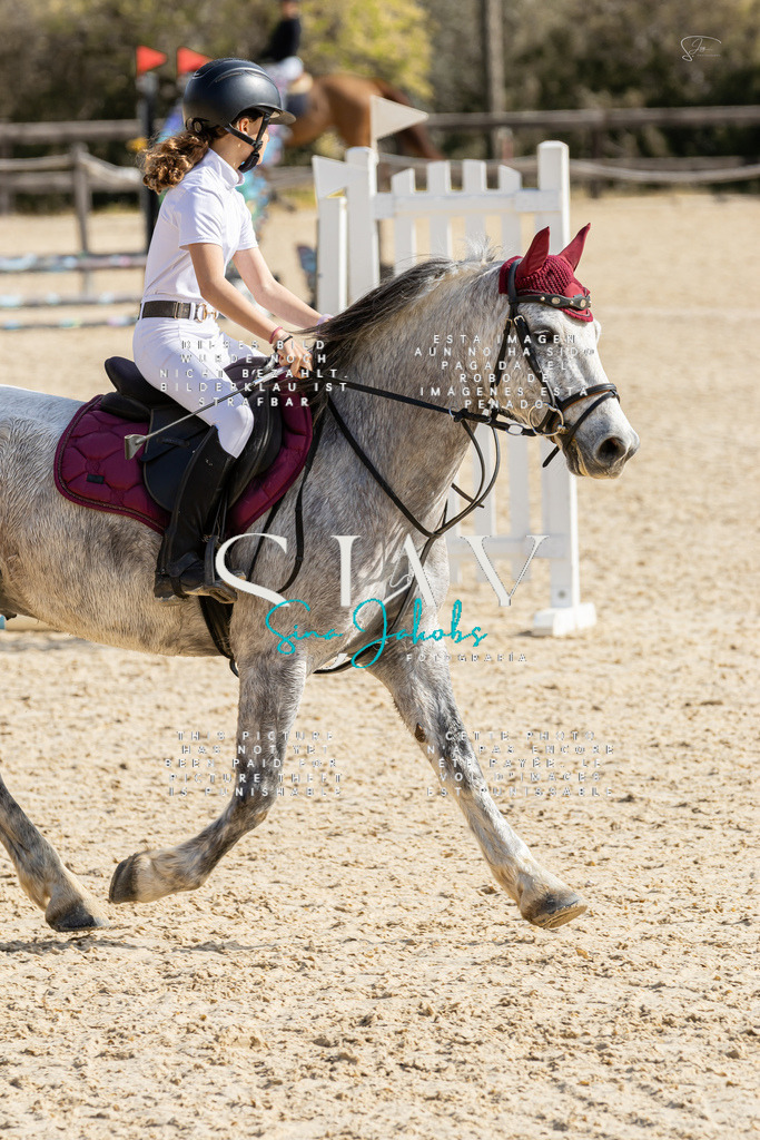 IMG_4339 | s-jay-photography - Realisiert mit Pictrs.com