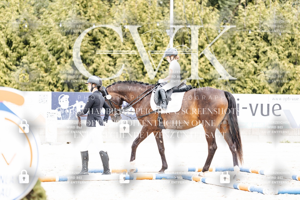 CK907076 | Turnierfotografie Pferdefotografie Trier Rheinland-Pfalz Pferdesport Reitsport Tierfotografie Sportfotografie Pferdevideo Pferdevideografie Equestrianvideography equestrianphotography  - Realisiert mit Pictrs.com