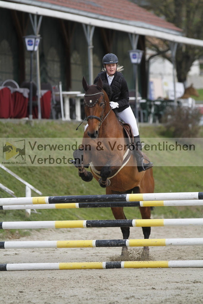 _MG_0668 | equestrian-live-com