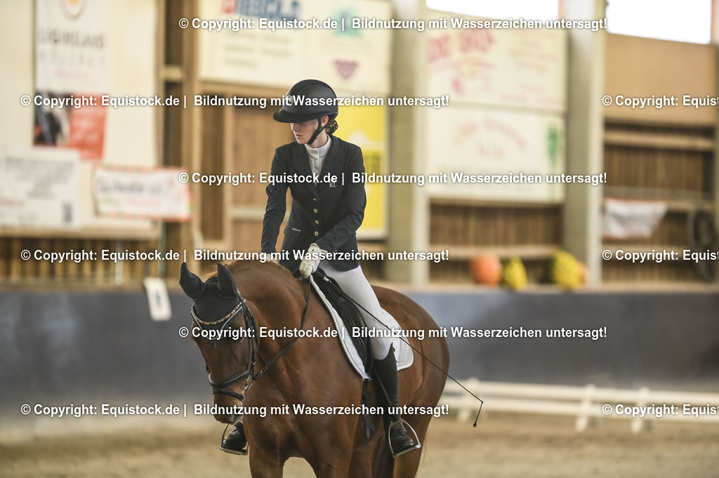 20231029_04_Dressur-WB_0110 | Foto: Thomas Hartig