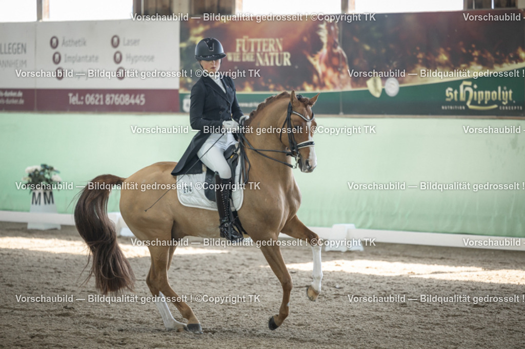 _D5A9429 | Emotionale Pferde- & People-Fotografie rund um Heidelberg, Leimen & Umgebung. Natürliche Fotos von Pferd, Mensch & Familie. Jetzt Termin sichern!