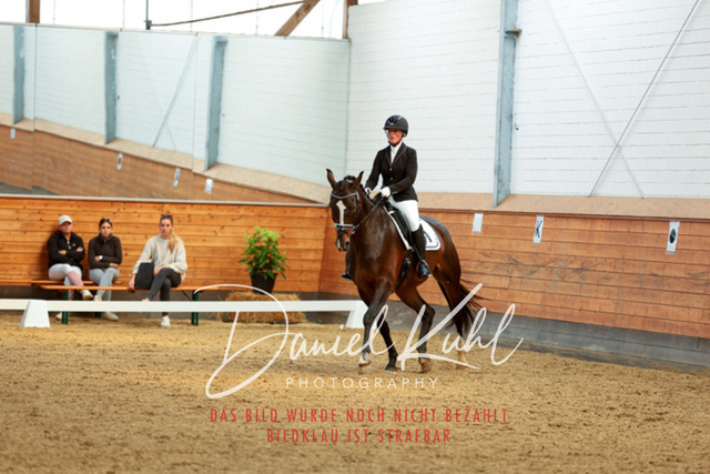 _62_6770 | Turniersportfotografie; Pferdefotografie; Dressurfotografie