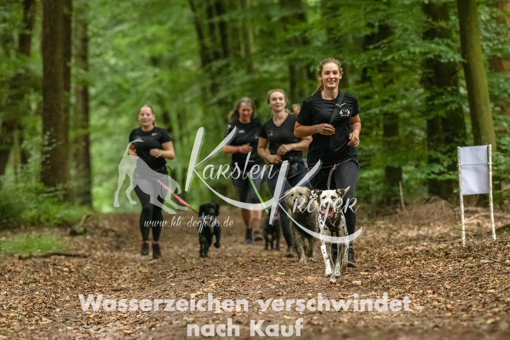 1255_ZZ91751-Bearbeitet-2 | kk-dogfotos
