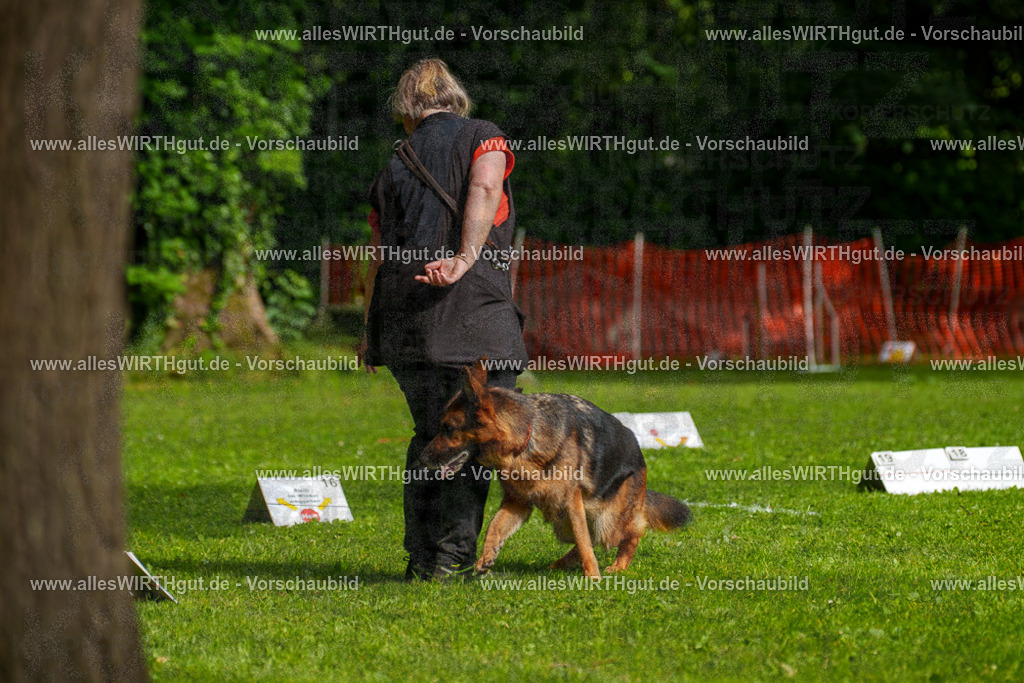 @allesWIRTHgut_Tierfotografie - www.allesWIRTHgut.de - 7R502451 | Professionelle Tierfotografie in Mönchengladbach von Daniel Wirth (allesWIRTHgut). Liebevolle & natürliche Bilder von Hunden & Katzen für unvergessliche Erinnerungen.
