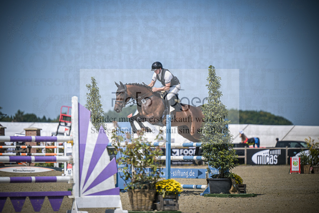 DOS_1703 | Entdecke hochwertige Reitturnierfotos von Foto Oger. Professionell, emotional und authentisch – jetzt Lieblingsmomente im Shop bestellen.Deutschlandweite Turnierfotografie. - Realisiert mit Pictrs.com