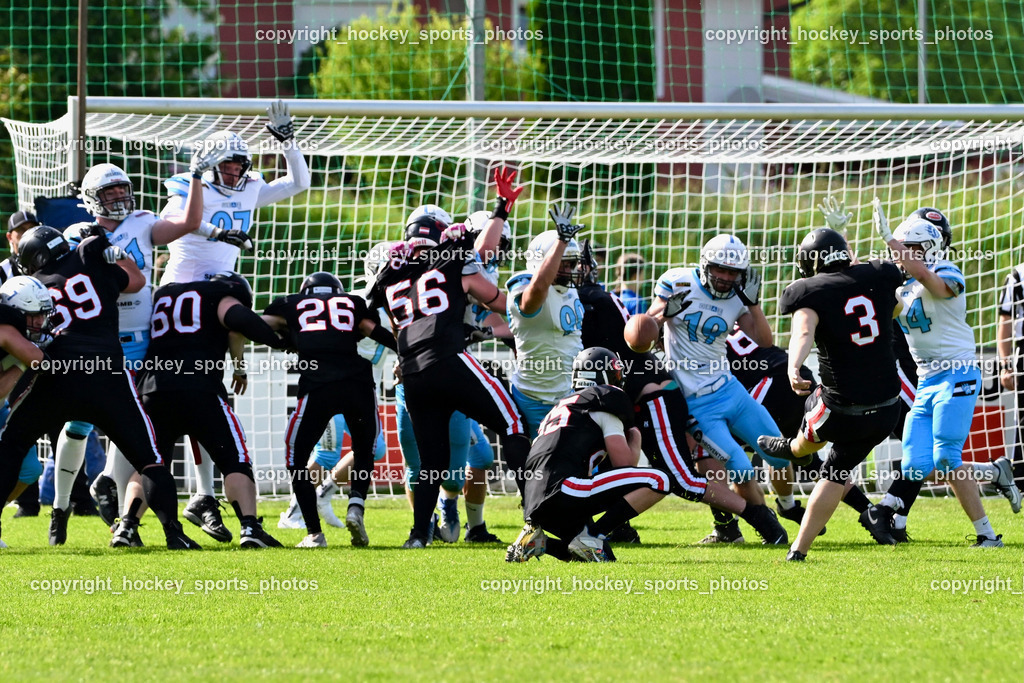 Carinthian Lions vs. Styrian Bears | Carinthian Lions vs. Styrian Bears, Carinthian Lions vs. Styrian Bears am 20.05.2024 in Klagenfurt (ASV Sportplatz), Austria, (Photo by Bernd Stefan)