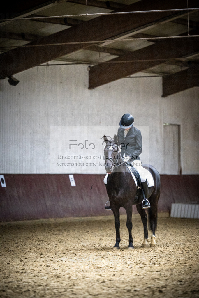 DOS_1404 | Reitturnier Lüdinghausen - Realisiert mit Pictrs.com
