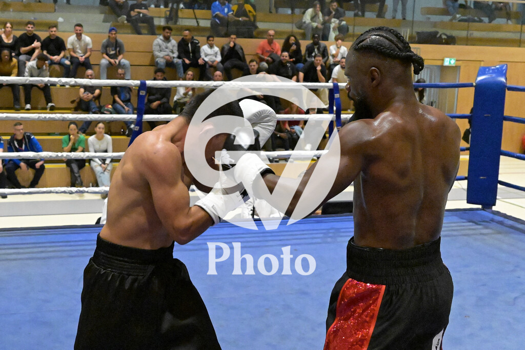 DSC_6542 | Velletri Photo