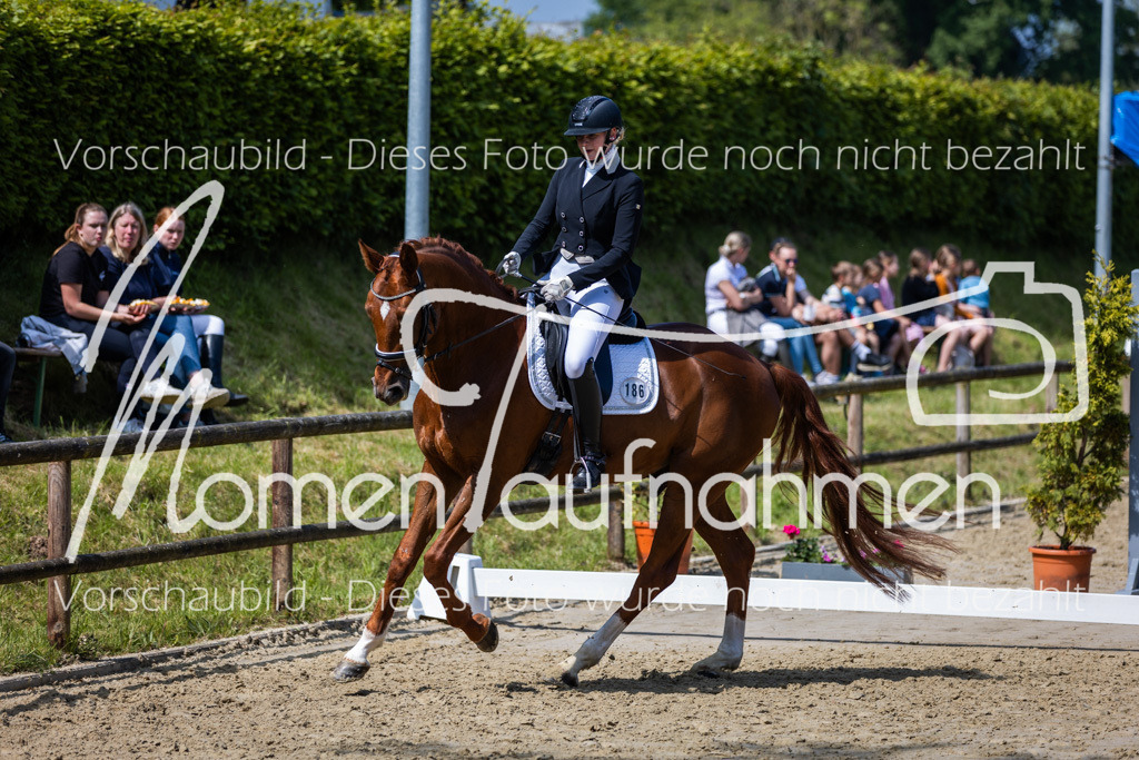 Donop24-L-Dre-052 | MomenTaufnahmen Pferdesportfotos