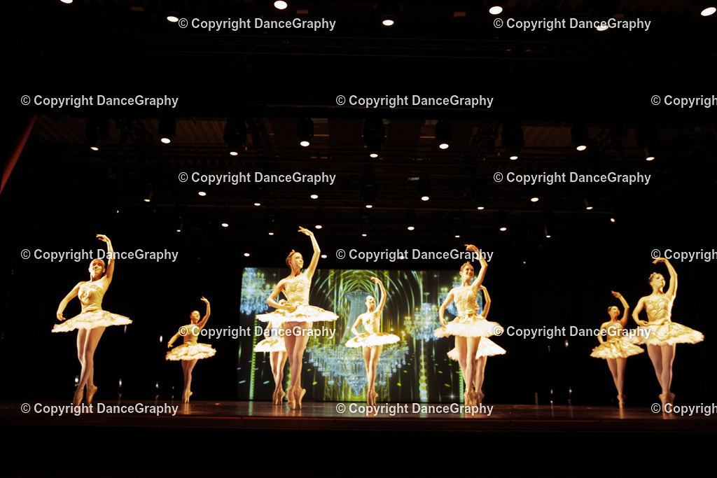 GPHY5335 | DanceGraphy - Realisiert mit Pictrs.com