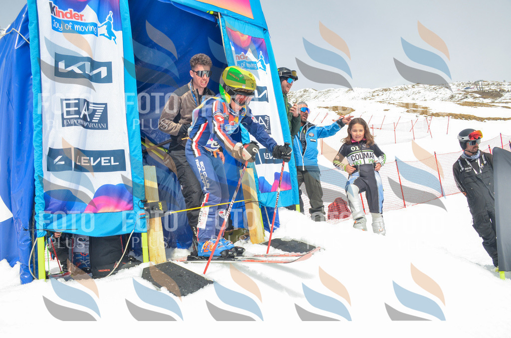 _ELE8278 | holidayphoto