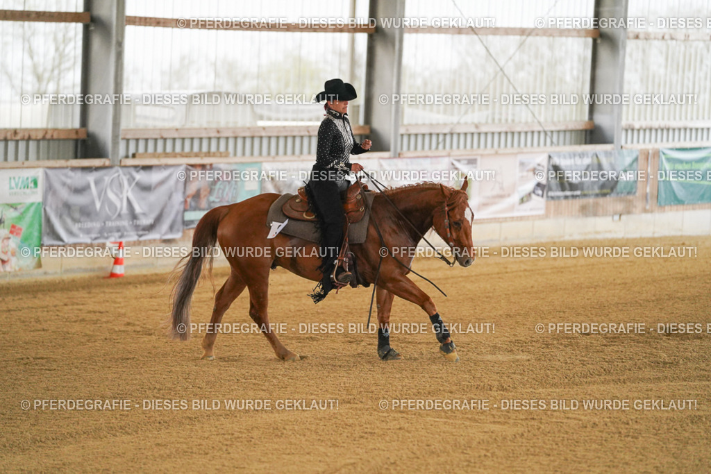 DSC08394 | Pferdegrafie