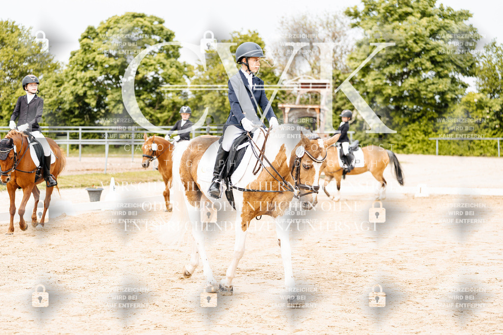 CK904519 | Turnierfotografie Pferdefotografie Trier Rheinland-Pfalz Pferdesport Reitsport Tierfotografie Sportfotografie Pferdevideo Pferdevideografie Equestrianvideography equestrianphotography  - Realisiert mit Pictrs.com