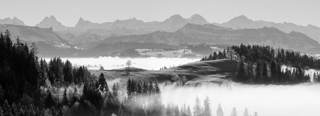 20241130-Emmental-48-Pano | Die ideale Geschenkidee für Naturliebhaber. Naturbilder von Marcel Gross Photography für ihr Zuhause in den verschiedensten Formaten und Materialien. - Realisiert mit Pictrs.com