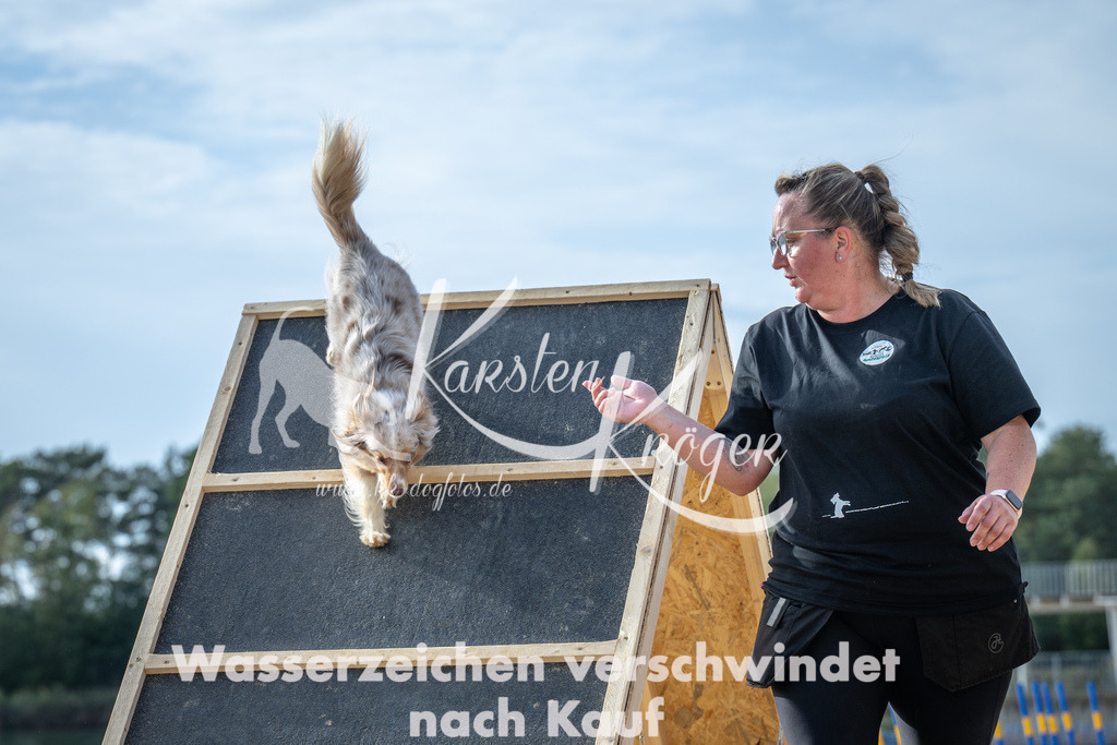 1554_ZZ92473 | kk-dogfotos