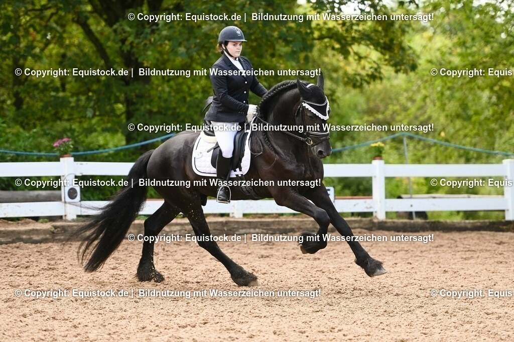 20230716_04_Dressurreiterprüfung Kl.A_0368 | equistock