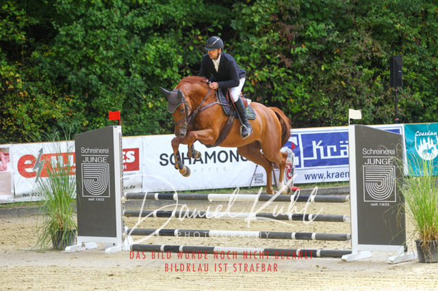 DKP40203 | Turniersportfotografie; Pferdefotografie; Dressurfotografie