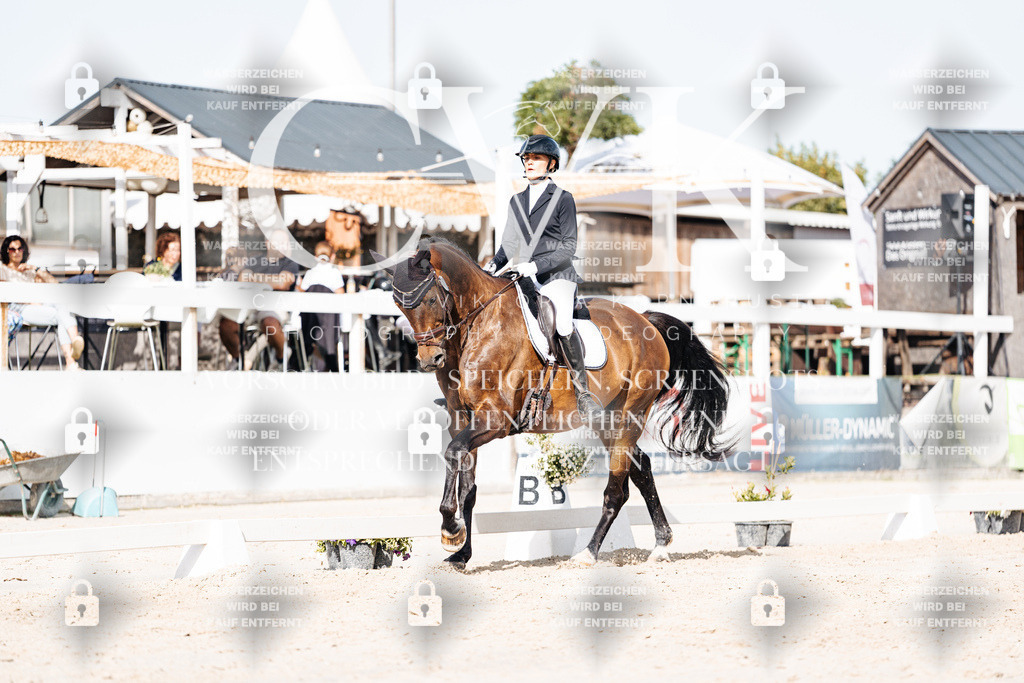 CK905519 | Turnierfotografie Pferdefotografie Trier Rheinland-Pfalz Pferdesport Reitsport Tierfotografie Sportfotografie Pferdevideo Pferdevideografie Equestrianvideography equestrianphotography  - Realisiert mit Pictrs.com