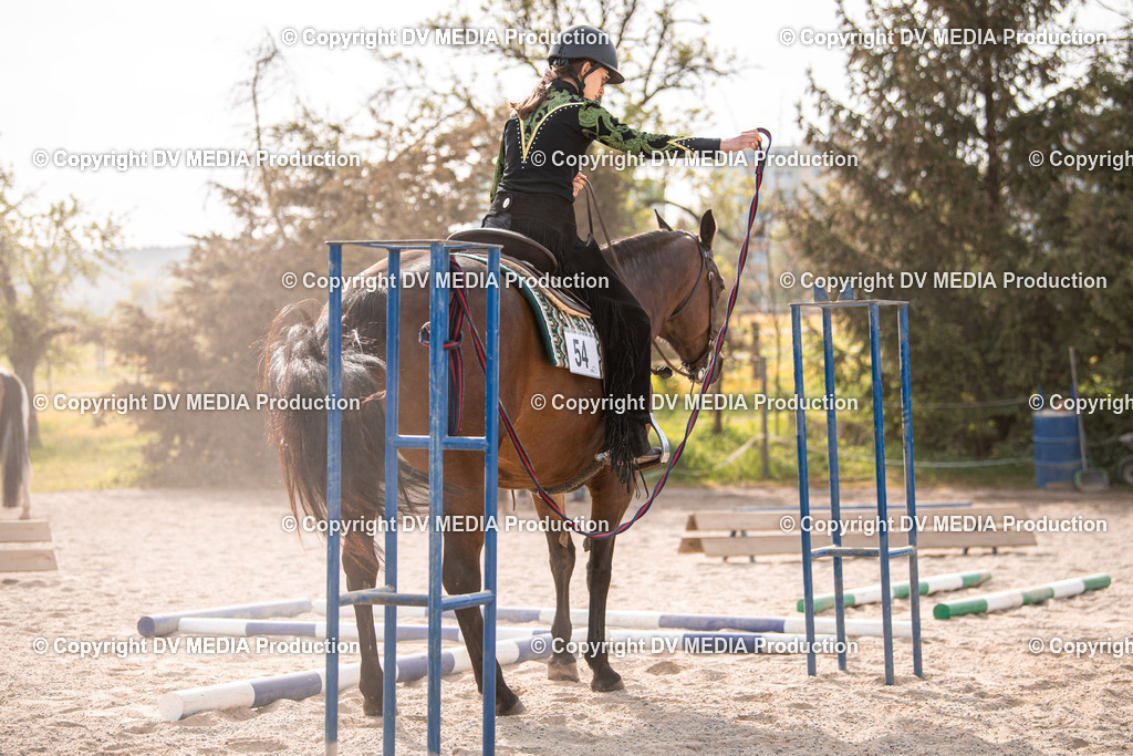 Balingen Tag 5-188 | dv-media-shop - Realisiert mit Pictrs.com