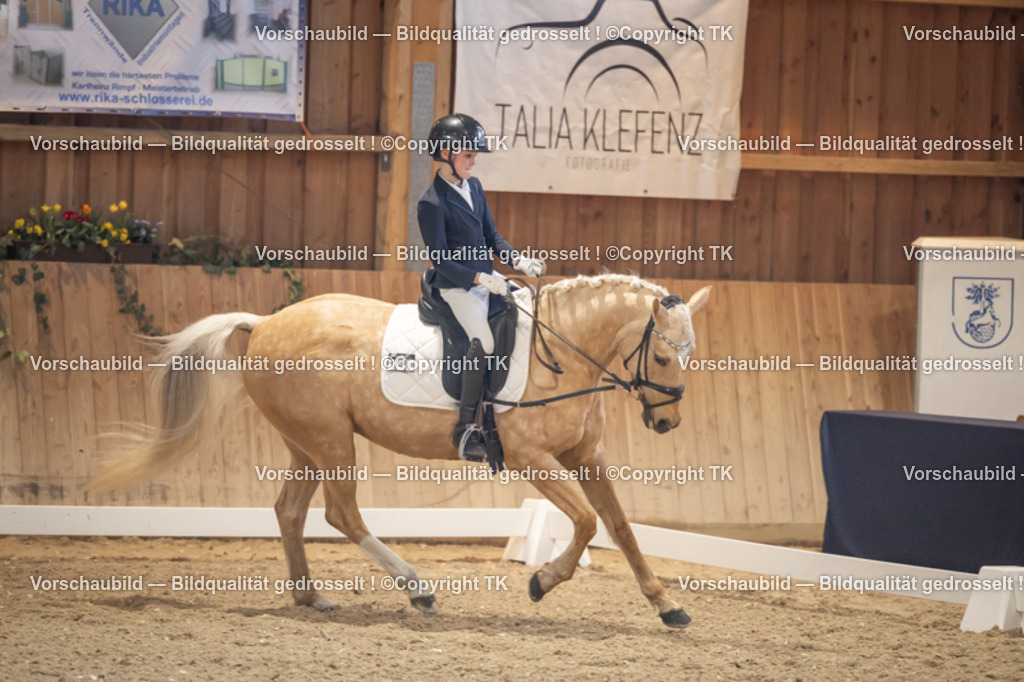 _D5A2295 | Emotionale Pferde- & People-Fotografie rund um Heidelberg, Leimen & Umgebung. Natürliche Fotos von Pferd, Mensch & Familie. Jetzt Termin sichern!