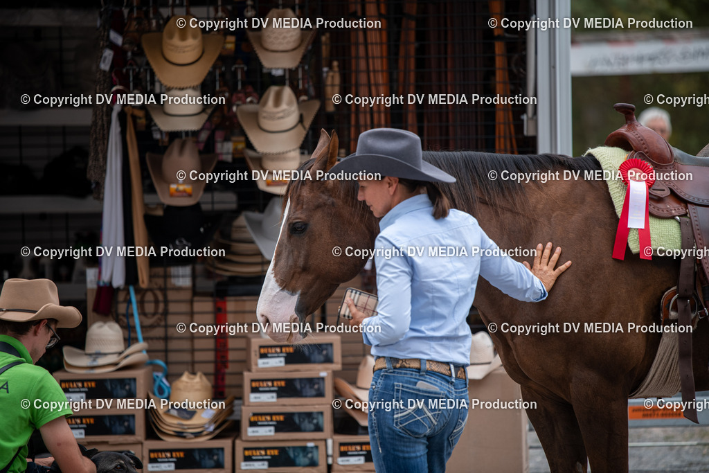 ZS2_7812 | dv-media-shop - Realisiert mit Pictrs.com