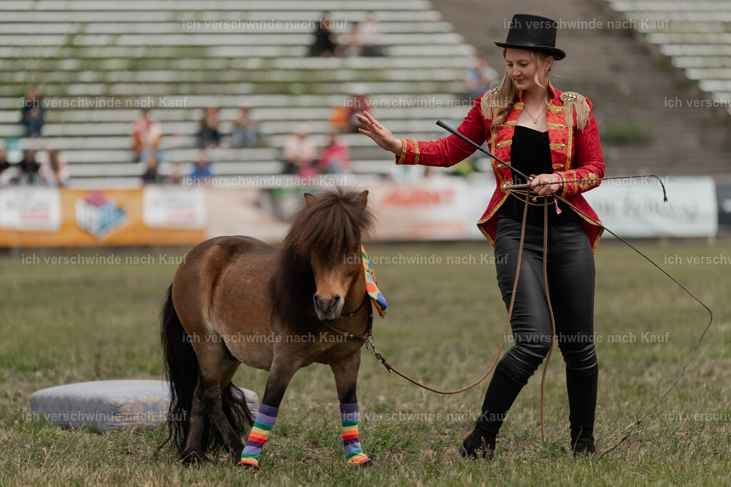 Showprogramm-234 | working equitationturnier fotograf videograf stoibphotography marixx film working equitation deutschland reitsport turnierfotografie eventfotografie equestrian events