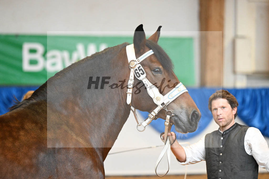 Kat-Nr. 65 Johanna_Engelhard_53220217 | hf-fotografie - Realisiert mit Pictrs.com