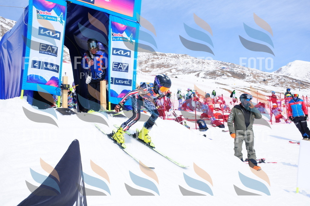 DSC_6517 | holidayphoto