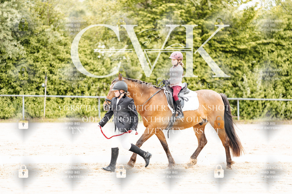 CK903699 | Turnierfotografie Pferdefotografie Trier Rheinland-Pfalz Pferdesport Reitsport Tierfotografie Sportfotografie Pferdevideo Pferdevideografie Equestrianvideography equestrianphotography  - Realisiert mit Pictrs.com