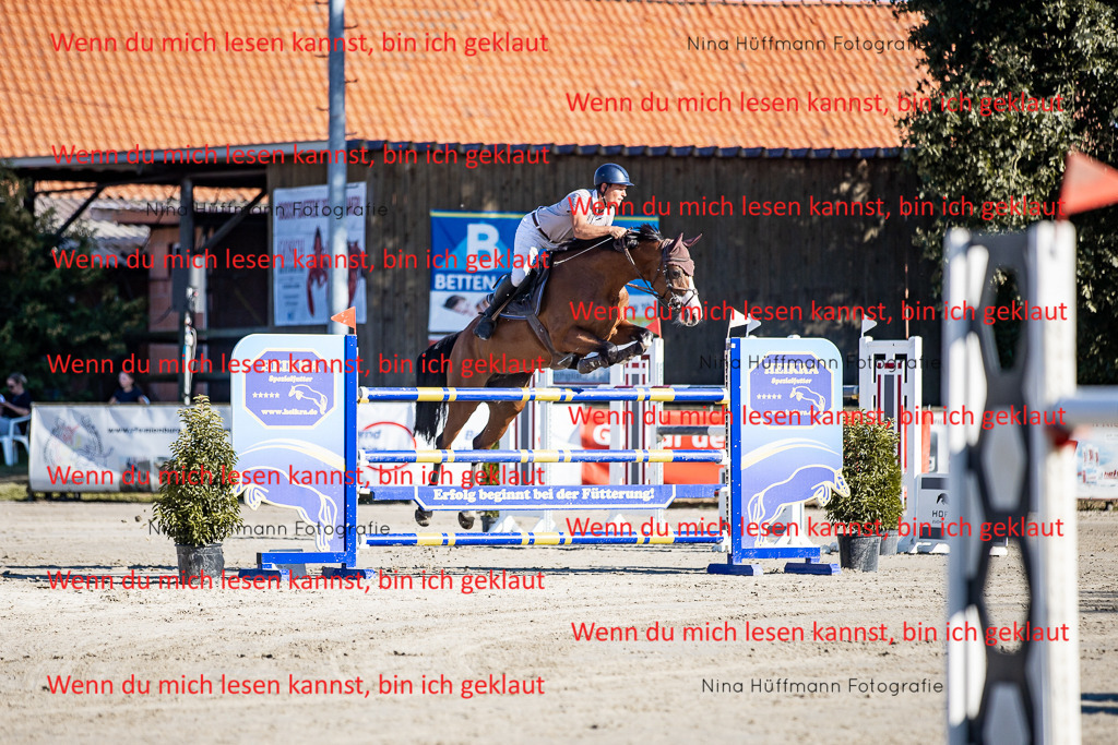 BK1A8127 | Turnierbilder Turnierfotos Nina Hüffmann Turnierfotografie Pferdefotografie Tierzeichnung Haustierzeichnung Pferdezeichnung Hundezeichnung Videograf  - Realisiert mit Pictrs.com