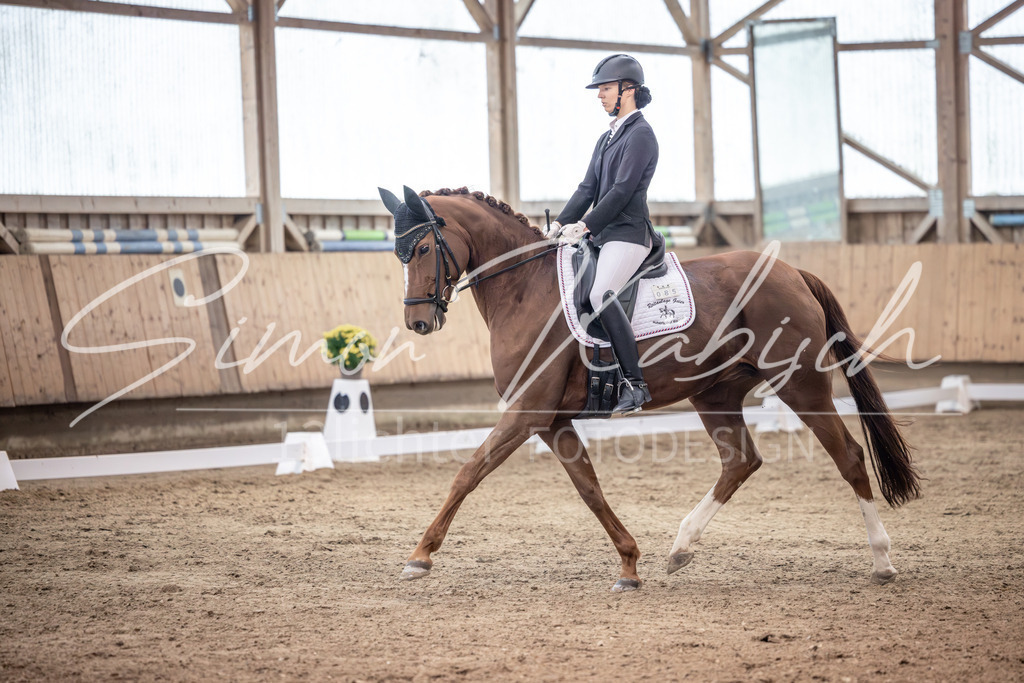 20251011-_3LI1852 | Tierfotografie Pferde, Hunde, Katzen, Haustiere.
Turnierfotografie Reitturniere, Reiten, Springreiten, Dressur in Hanau, dem Main-Kinzig-Kreis und dem Rhein-Main- Gebiet um Frankfurt